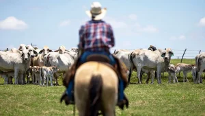 First confirmed case of New World screwworm in elk in Texas