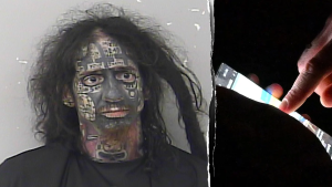 Florida TikTok 'Grey Hat Hacker' charged with revealing personal information of women