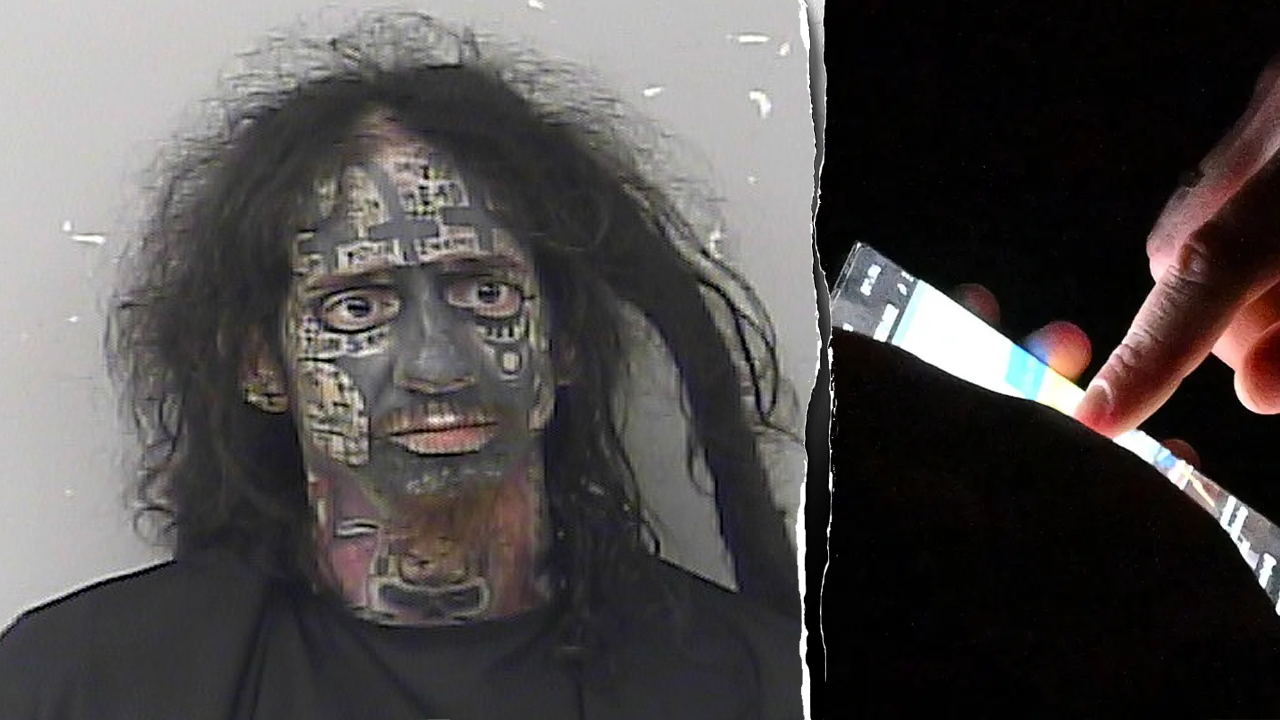 Florida TikTok 'Grey Hat Hacker' charged with revealing personal information of women