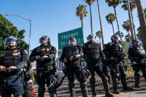 Four undocumented immigrants apprehended in early morning operation for credit card and bankruptcy fraud, while a fifth person is still at large.