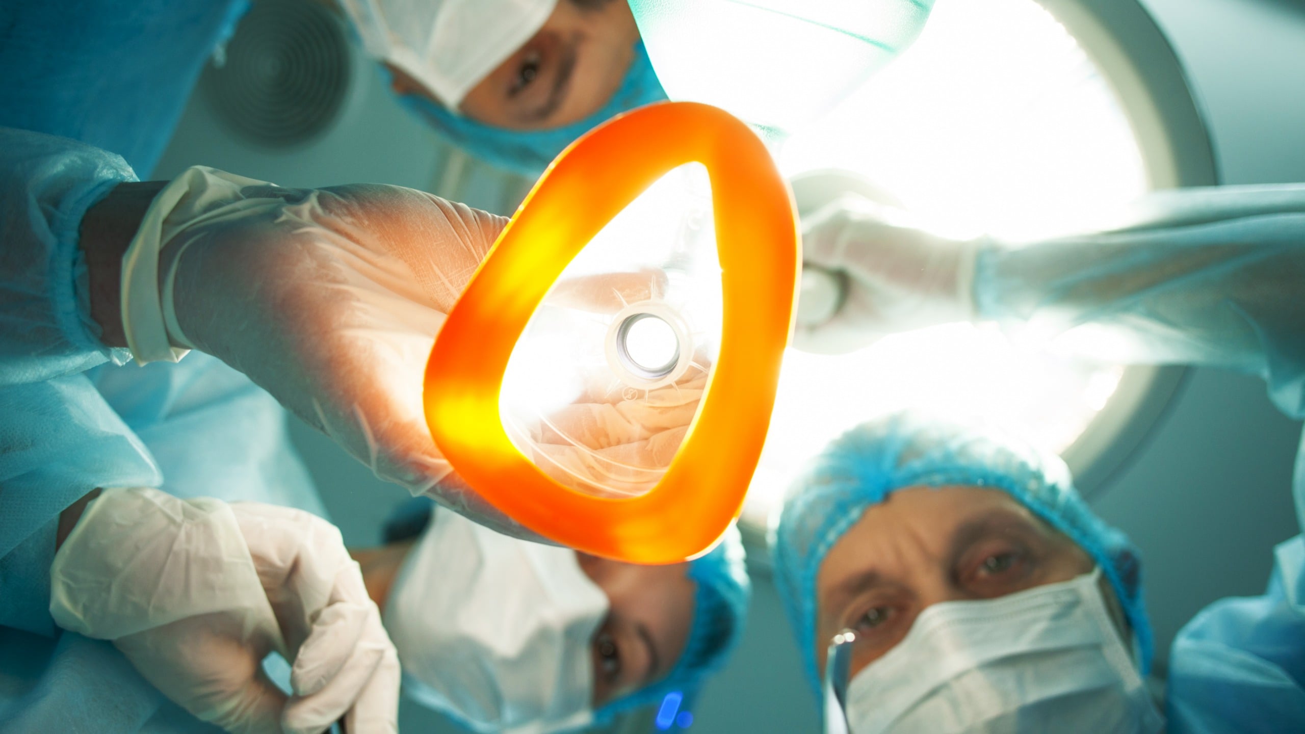 From People to Worms, Anesthesia Induces a Similar Unusual Condition in Nervous Systems