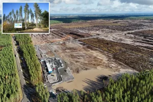 Google unlawfully removed 250,000 trees for a data center in Finland, angering residents, according to a report.
