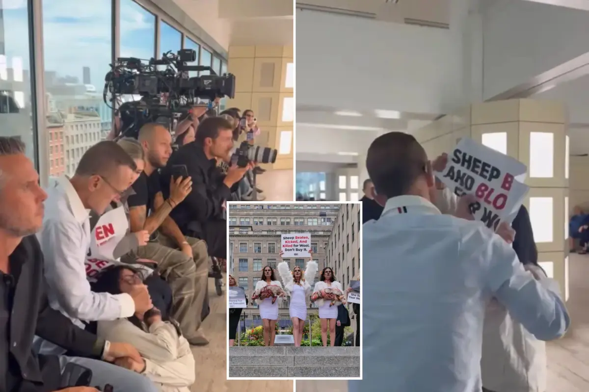 H&M leaders do not commit to abandoning wool in discussions with PETA