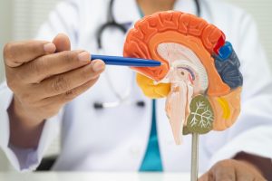 I’m a brain doctor — 7 behaviors that harm your brain