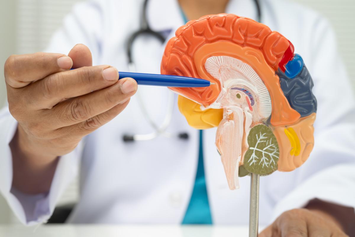 I’m a brain doctor — 7 behaviors that harm your brain
