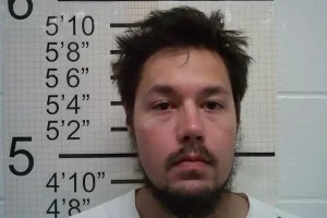 Iowa driver Andrew Darrick Tanaka fired shots at vehicles on I35, informing police that he needed to kill people.