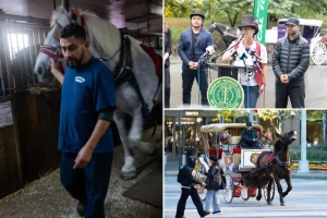 John Catsimatidis argues that the ban on horse carriages in NYC is truly a real estate plot.