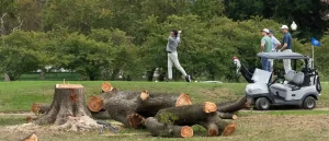 Judge Issues Uncommon Ruling on Tree Removal at Trump's Golf Course
