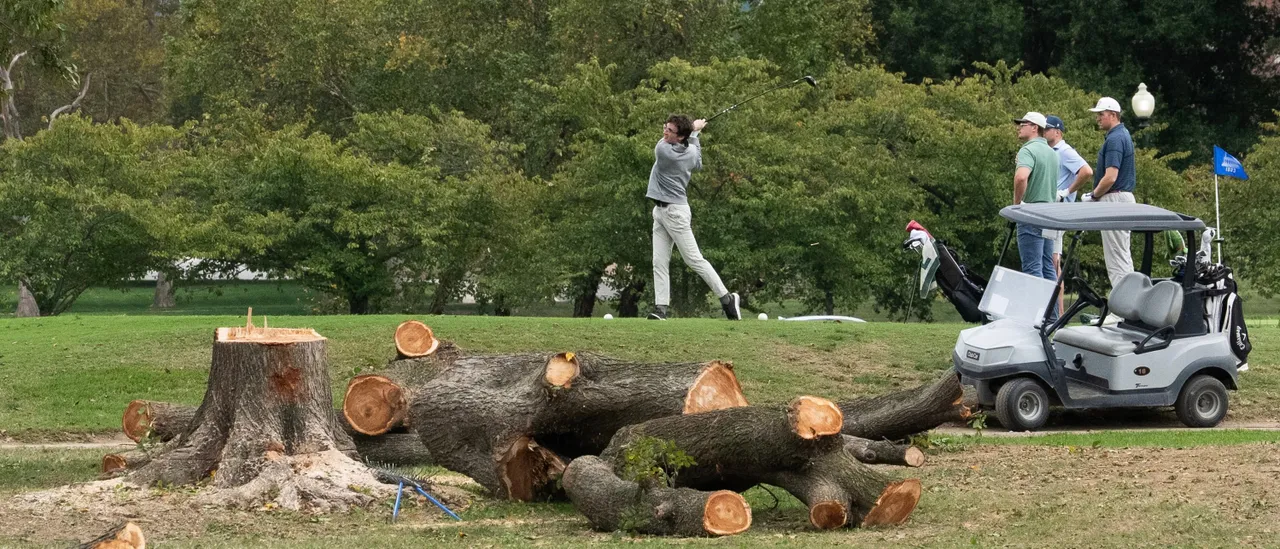 Judge Issues Uncommon Ruling on Tree Removal at Trump's Golf Course