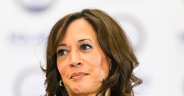 Kamala Harris Prepares for Her 2028 Campaign
