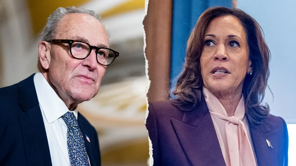 Kamala Harris viewed as leading candidate for 2028, but Democratic senators are hesitant
