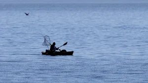 Kayaker in Malibu attacked by a shark two times close to Paradise Cove