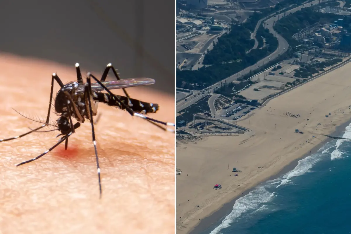Los Angeles has the highest number of mosquitoes in the country.