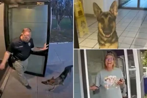 Lost dog in Florida goes to Tampa police station to report himself missing and reunites with his emotional owner.