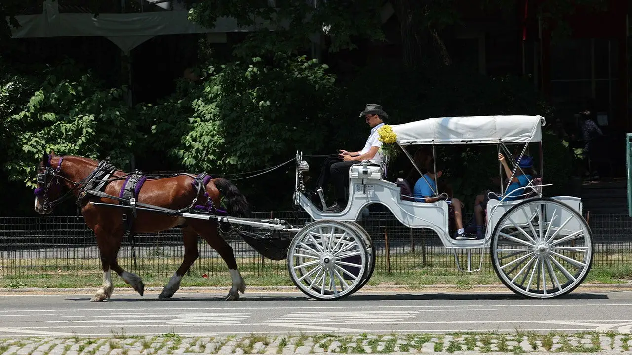 Mamdani and New York City officials reach a consensus to prohibit horse-drawn carriages in Central Park by 2028