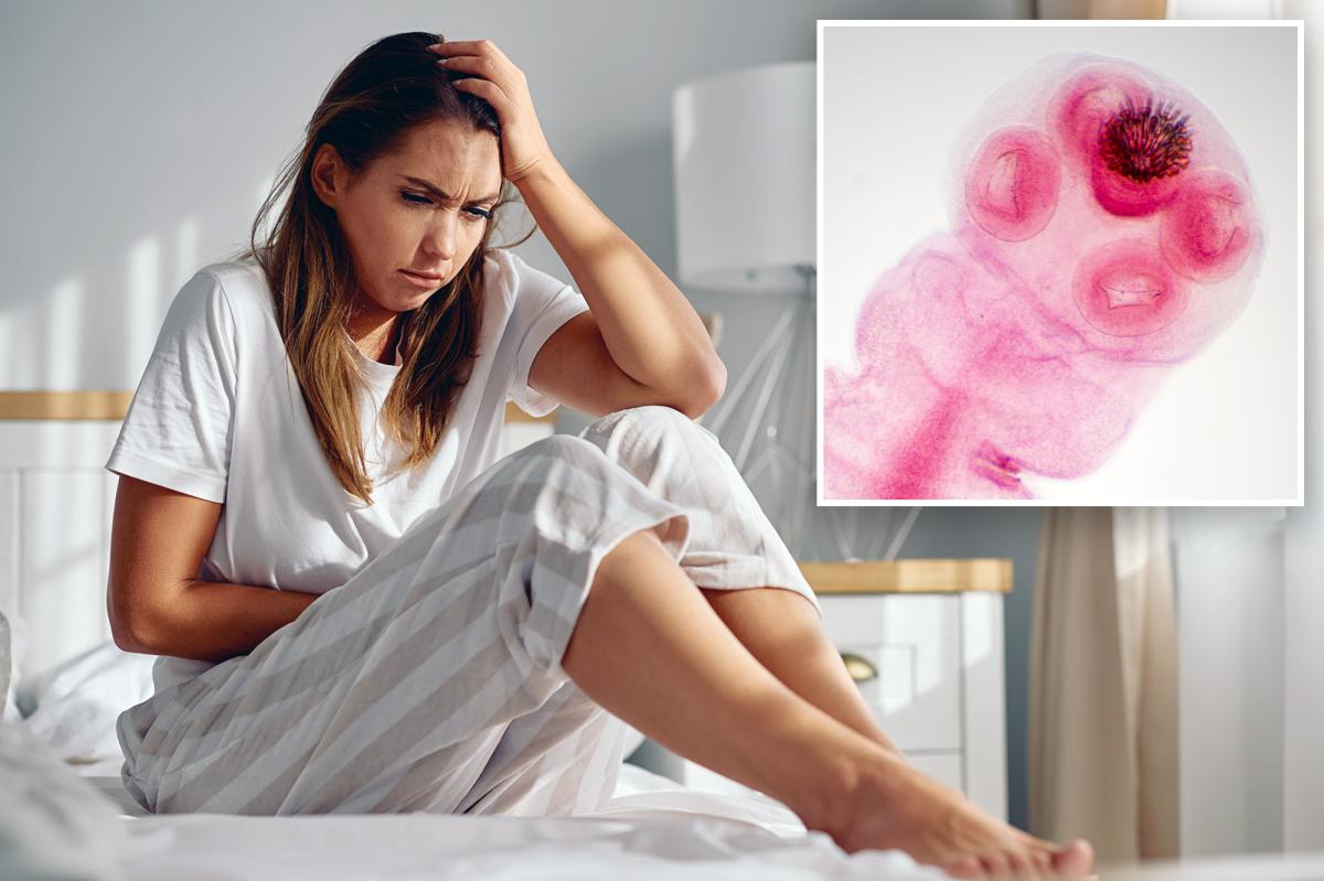 Medication for tapeworms may help with a disease impacting 190 million women.
