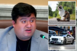 Minneapolis councilman ridiculed for saying self-driving cars are 'killing' pets