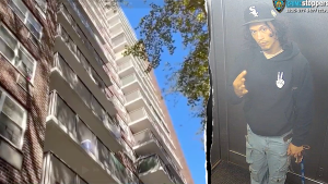 Mother in New York City dies from suspected balcony push, baby in serious condition as police search for suspect