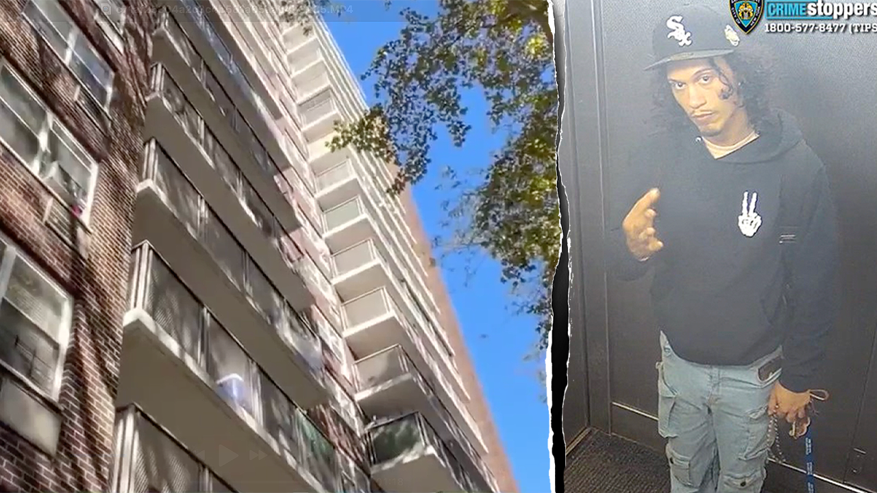 Mother in New York City dies from suspected balcony push, baby in serious condition as police search for suspect
