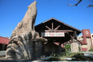 Mother kills husband and 3-year-old son at well-known family resort and then attempts suicide, authorities report