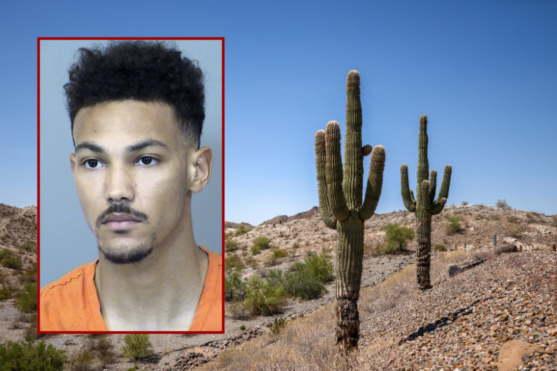 Murderer confesses, acknowledges female victim represented his ideal appearance