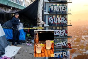 New entertainment areas with public drinking may be introduced in downtown LA