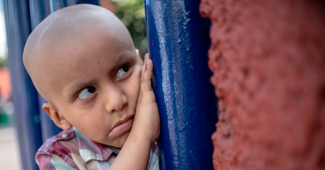 NGOs Reveal Mexico’s Political Elite Involved in Misappropriated Funds Meant for Children’s Cancer Treatment