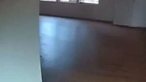 Oklahoma copper theft suspect seen on bodycam video jumping through a window