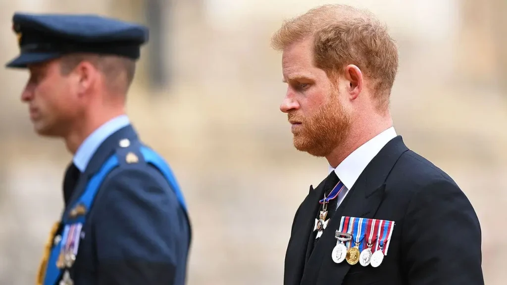 Plans for a Diana documentary might hinder the reconciliation of Harry and William, say experts.
