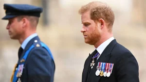 Plans for a Diana documentary might hinder the reconciliation of Harry and William, say experts.