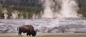 Prioritizing America Is Beneficial for Our National Parks