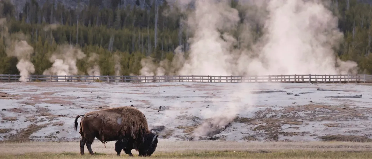 Prioritizing America Is Beneficial for Our National Parks