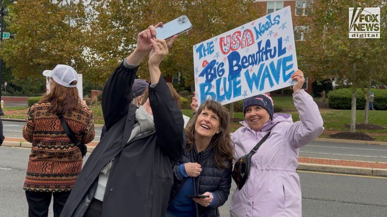 Protesters at No Kings event openly urge support for the blue party despite neutral guidelines