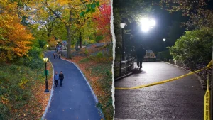 Rape in Central Park at knifepoint leaves police searching for suspect.