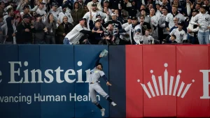 Rays eliminate Yankees in ALDS after disputed fan interference prevents Anthony Volpe's home run