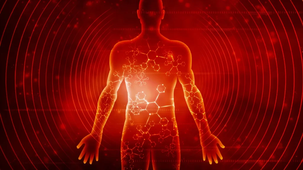 Researchers explain the effects of a week of fasting on the human body.