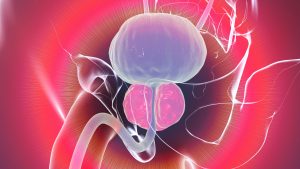 Researchers May Have Found the Reason Men's Prostates Become Larger as They Age