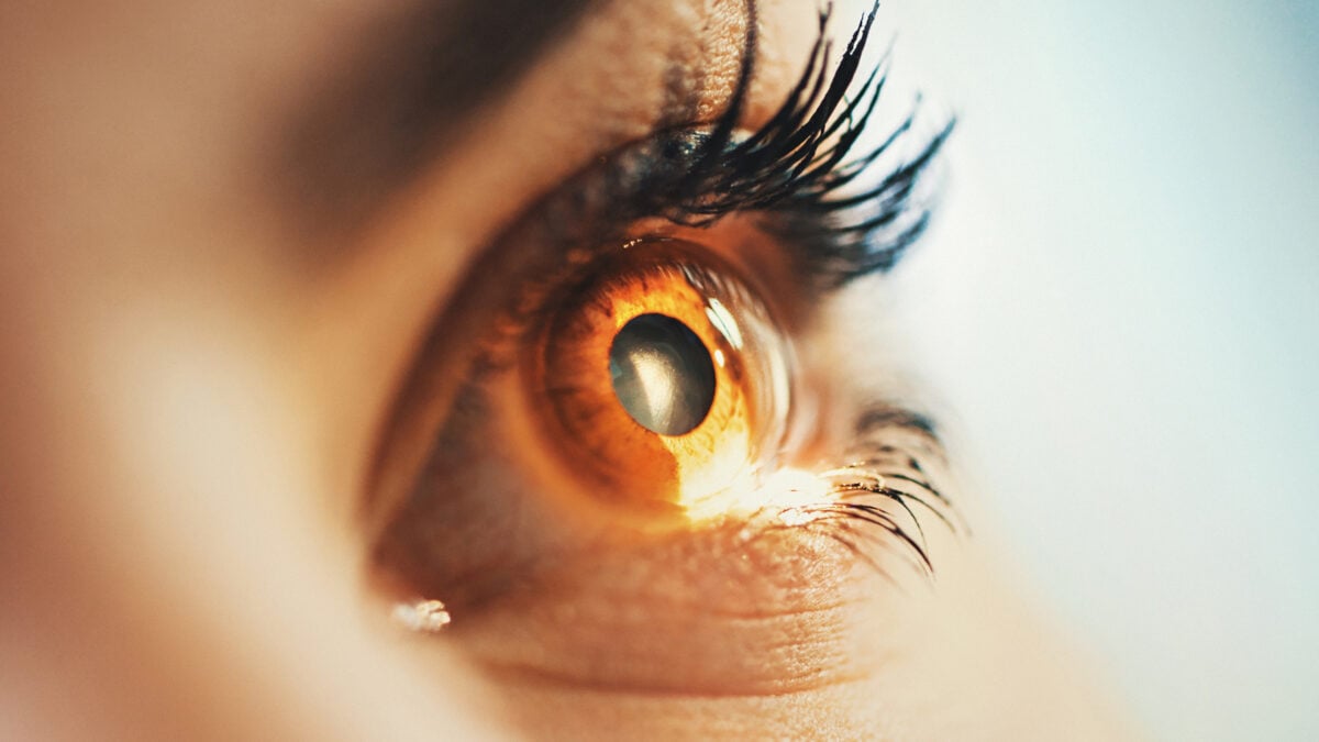 Researchers might have discovered a method for helping injured adult retinas heal on their own.
