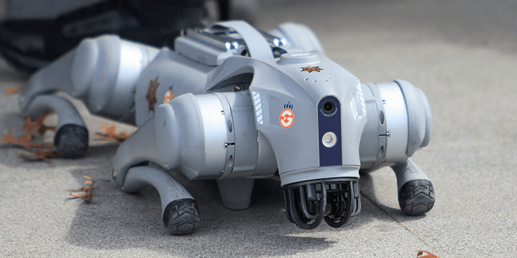 Robot guard dogs with 'Indian accents' exist, and the community appreciates them