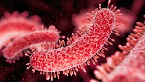 Sexually Transmitted Diarrhea Is Rapidly Increasing in the US and Becoming Resistant to Treatment