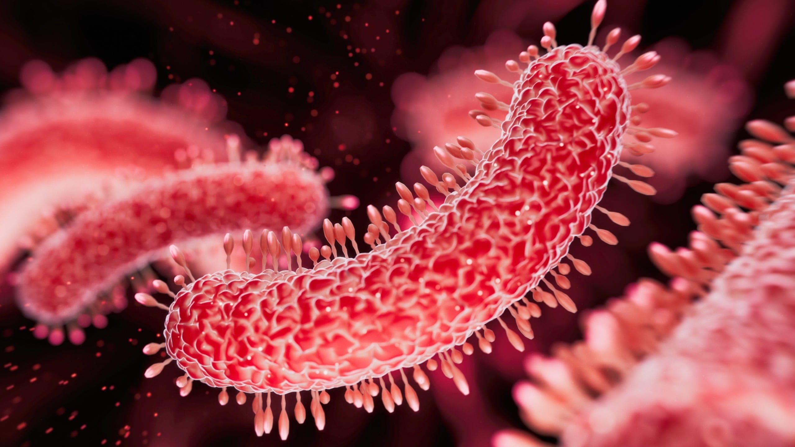 Sexually Transmitted Diarrhea Is Rapidly Increasing in the US and Becoming Resistant to Treatment