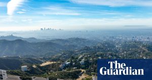 Snakes, bobcats, mountain lions: the hidden wildlife beneath the Hollywood sign