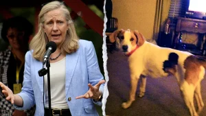 Spanberger's office reinstates voting rights for deceased dog, investigation requested
