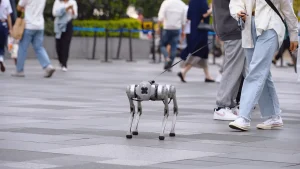 Startup in San Francisco allegedly offered $20 per hour to walk robotic dogs