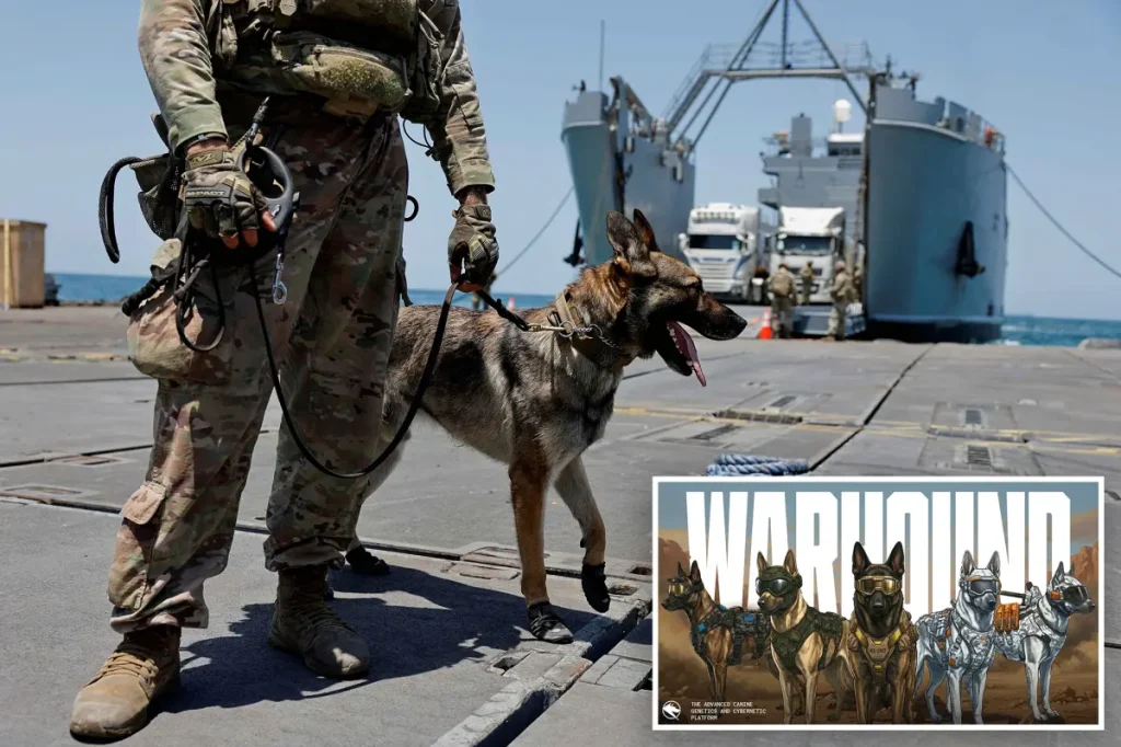 Startup in Silicon Valley secures $200M to develop genetically modified military dogs: 'Captain America meets Iron Man'