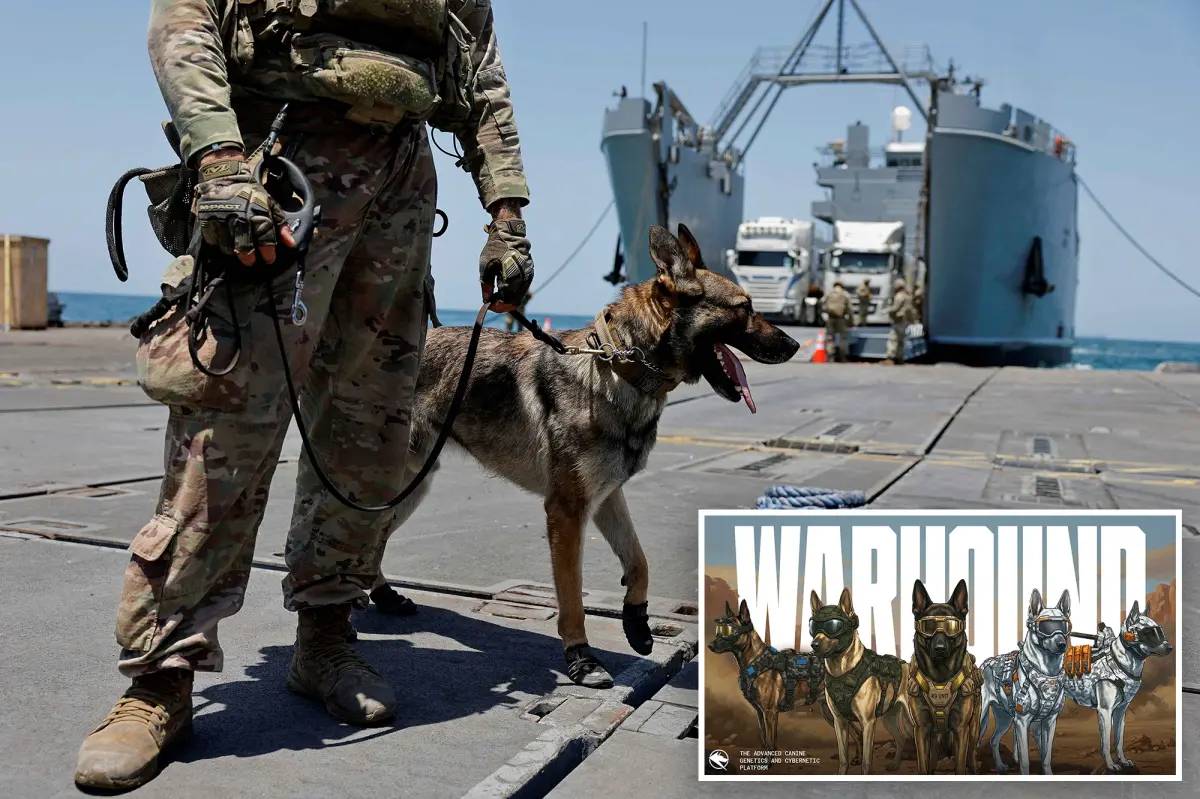 Startup in Silicon Valley secures $200M to develop genetically modified military dogs: 'Captain America meets Iron Man'
