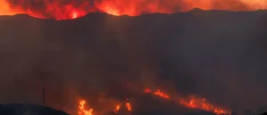 Study Reveals Millions of Residents Exposed to Harmful Metals from LA Fires