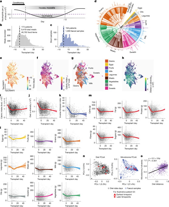 Sugar-heavy foods worsen the imbalance in gut bacteria caused by antibiotics.