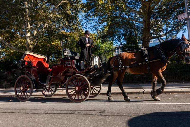 Trump points to 'political motives' following the ban on horse-drawn carriage rides in NYC after 150 years
