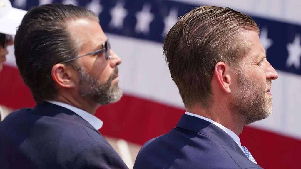 Trump sons' Pentagon contracts article removed following threats